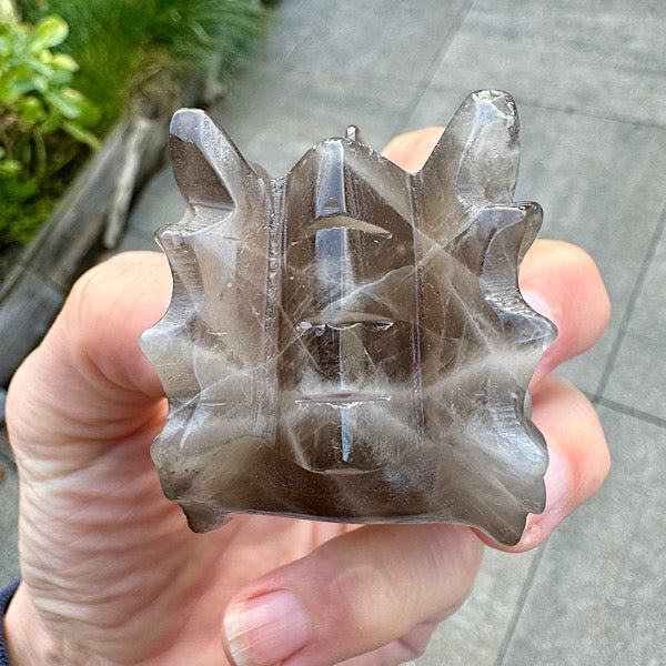 rookkwarts draken schedel dragon skull