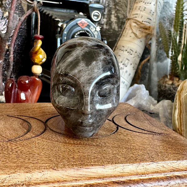 rookkwarts elfen schedel skull