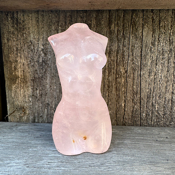 RozeKwarts of RozenKwarts Dames Torso