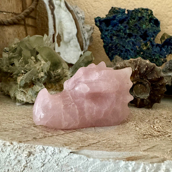 rozekwarts rozenkwarts klein draakje draken skull schedel mineralen kristallen