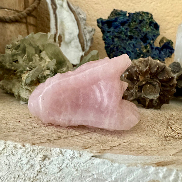 rozekwarts rozenkwarts klein draakje draken skull schedel mineralen kristallen