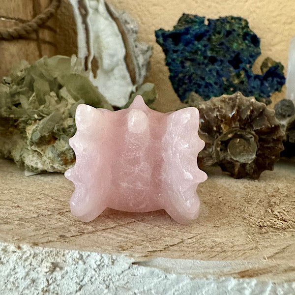 rozekwarts rozenkwarts klein draakje draken skull schedel mineralen kristallen