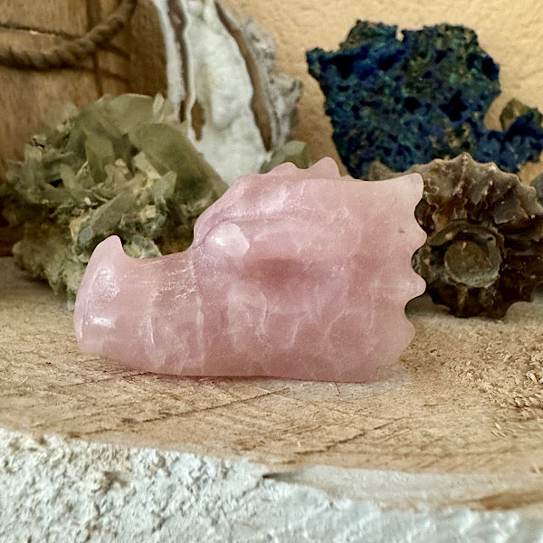 rozekwarts rozenkwarts klein draakje draken skull schedel mineralen kristallen