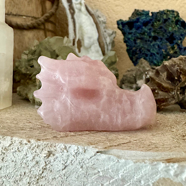 rozekwarts rozenkwarts klein draakje draken skull schedel mineralen kristallen