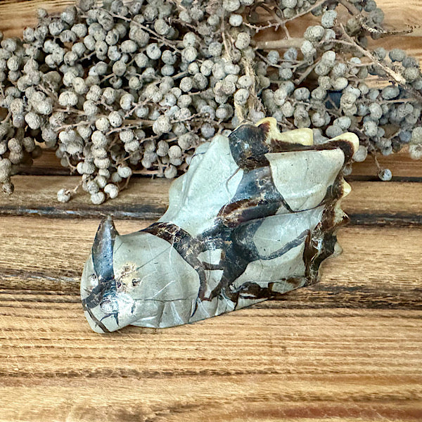 septarie draken schedel dragon skul edelstenen mineralen winkel