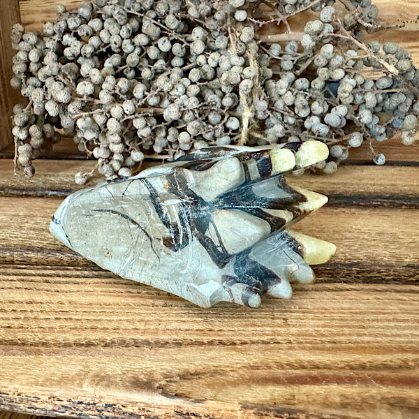 septarie draken schedel dragon skul edelstenen mineralen winkel