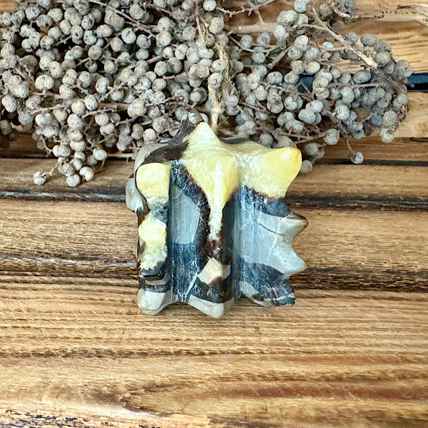 septarie draken schedel dragon skul edelstenen mineralen winkel