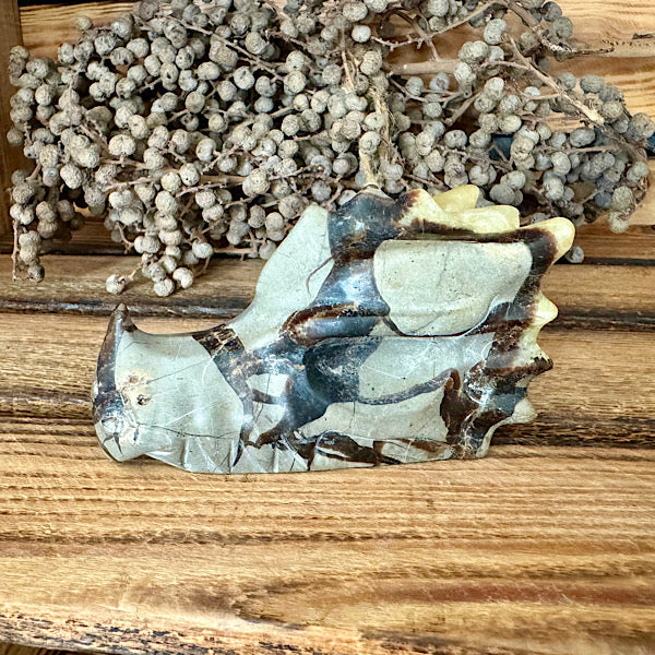 septarie draken schedel dragon skul edelstenen mineralen winkel