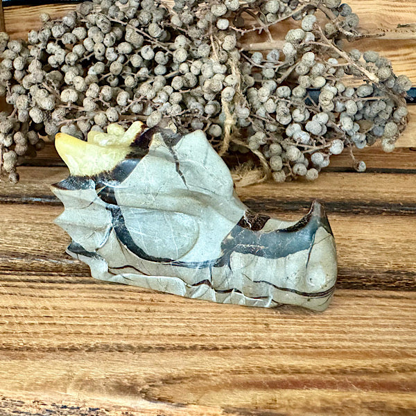 septarie draken schedel dragon skul edelstenen mineralen winkel