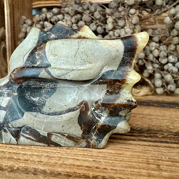 septarie draken schedel dragon skul edelstenen mineralen winkel