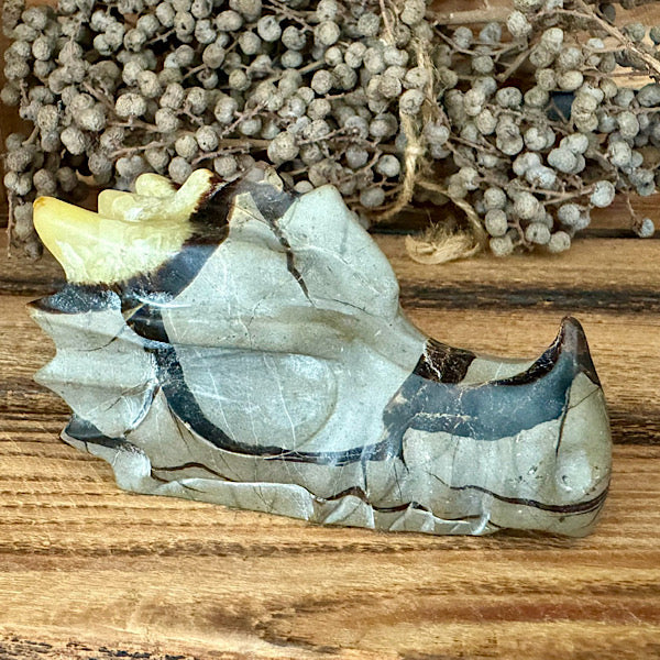 septarie draken schedel dragon skul edelstenen mineralen winkel