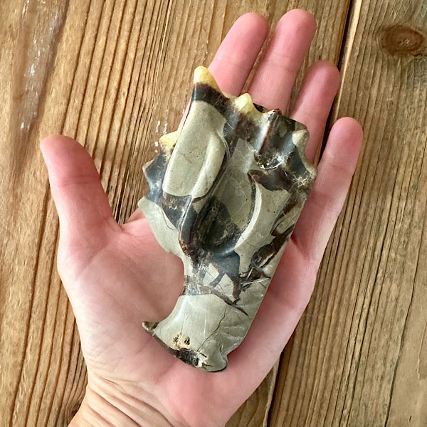 septarie draken schedel dragon skul edelstenen mineralen winkel