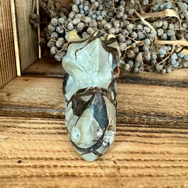 septarie draken schedel dragon skul edelstenen mineralen winkel