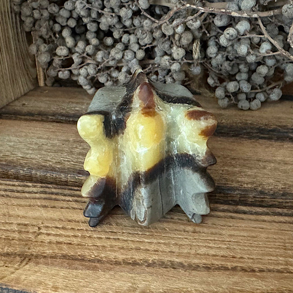 septarie draken schedel dragon skull 2 edelstenen mineralen winkel septaria drakensteen