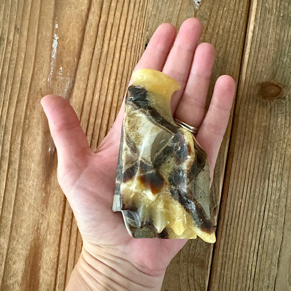 septarie draken schedel dragon skull 2 edelstenen mineralen winkel septaria drakensteen