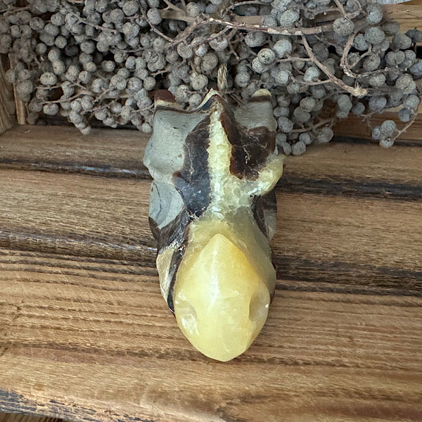 Draken Schedel Septarie 2