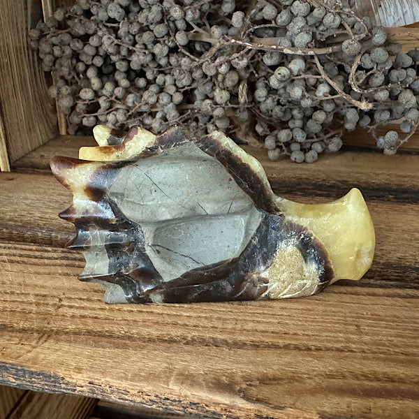 septarie draken schedel dragon skull 2 edelstenen mineralen winkel septaria drakensteen