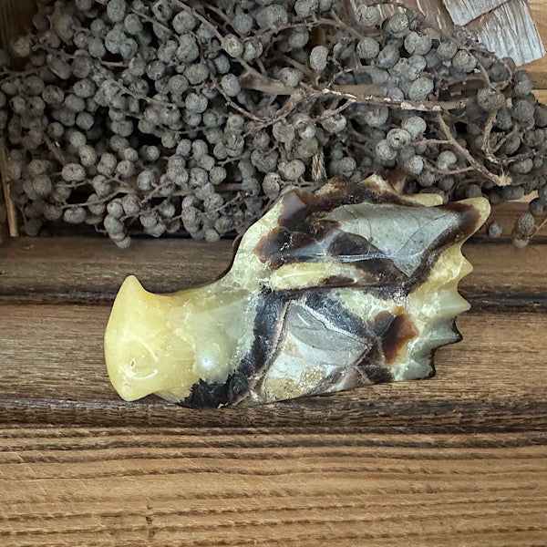 septarie draken schedel dragon skull 2 edelstenen mineralen winkel septaria drakensteen