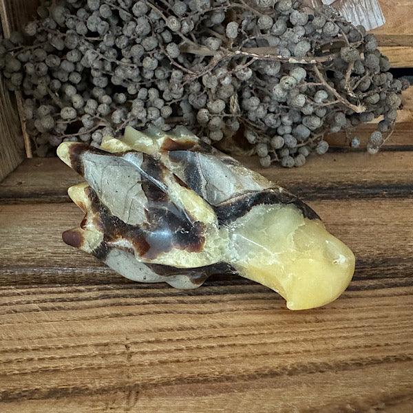 septarie draken schedel dragon skull 2 edelstenen mineralen winkel septaria drakensteen