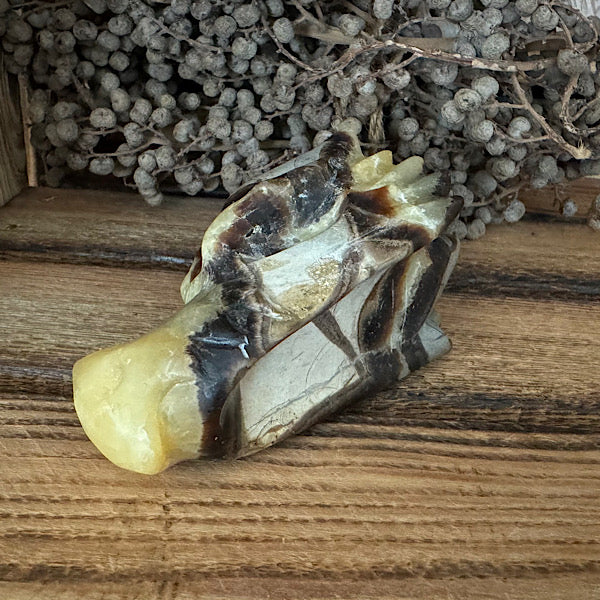 septarie draken schedel dragon skull 2 edelstenen mineralen winkel septaria drakensteen