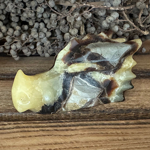 septarie draken schedel dragon skull 2 edelstenen mineralen winkel septaria drakensteen