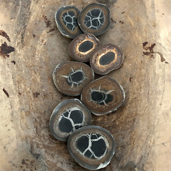 septarie paartje gepolijst septaria drakensteen