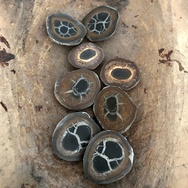 septarie paartje gepolijst septaria drakensteen