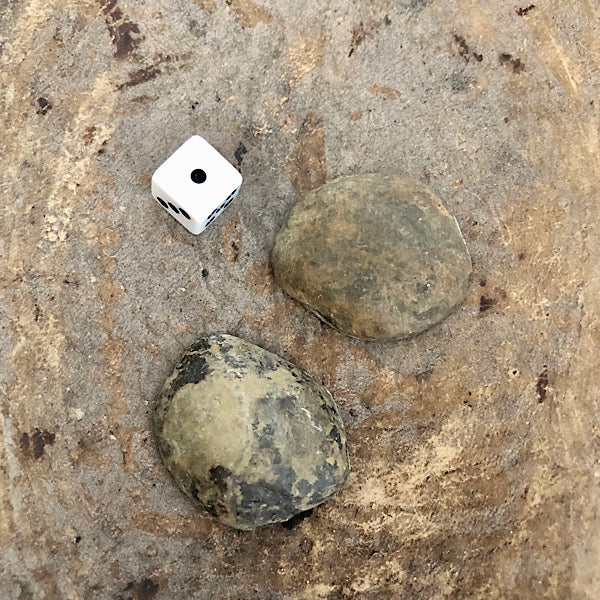 septarie paartje gepolijst septaria drakensteen