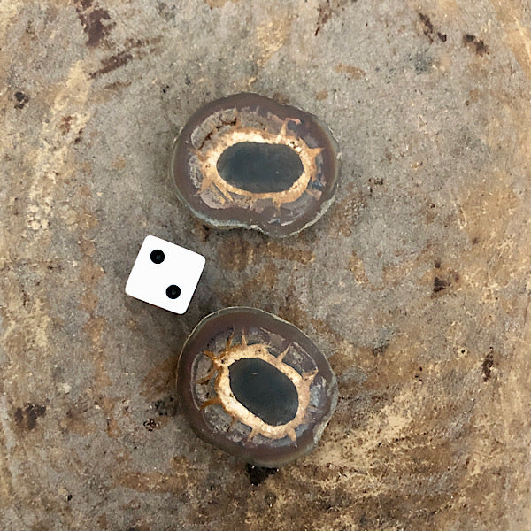 septarie paartje gepolijst nr2 septaria drakensteen