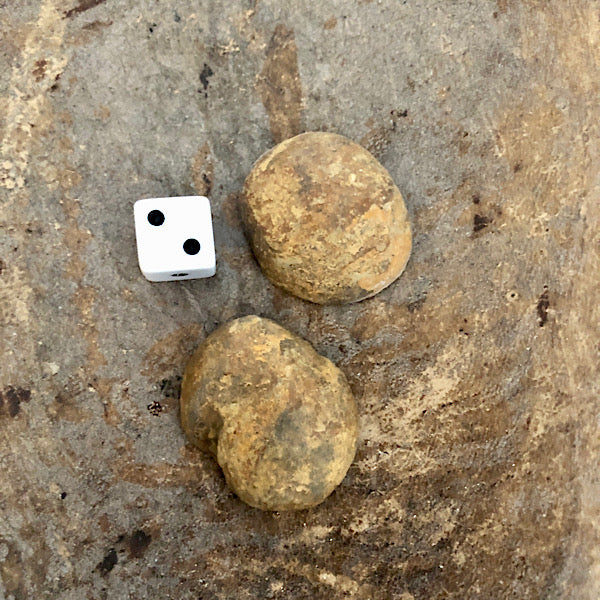 septarie paartje gepolijst nr2 septaria drakensteen