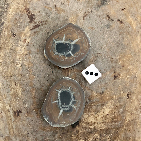 septarie paartje gepolijst nr3 septaria drakensteen