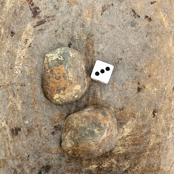 septarie paartje gepolijst nr3 septaria drakensteen