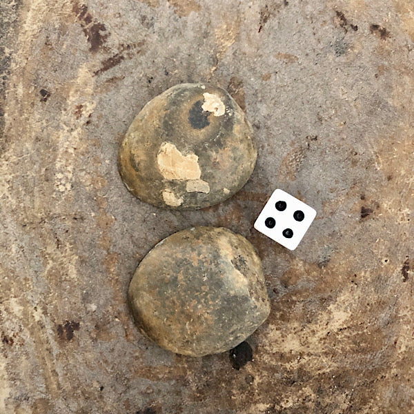 septarie paartje gepolijst nr4 septaria drakensteen