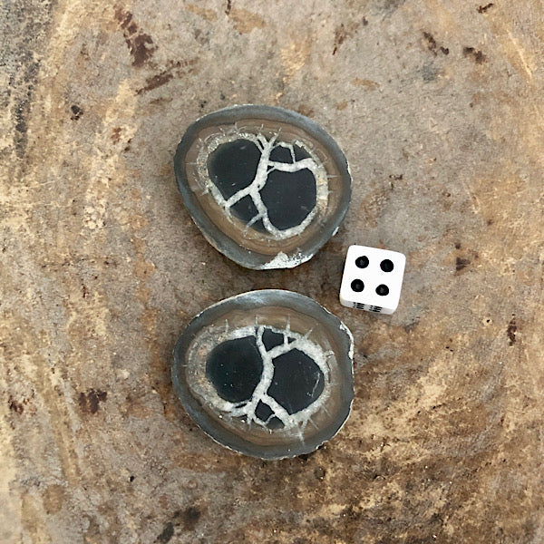 septarie paartje gepolijst nr4 septaria drakensteen