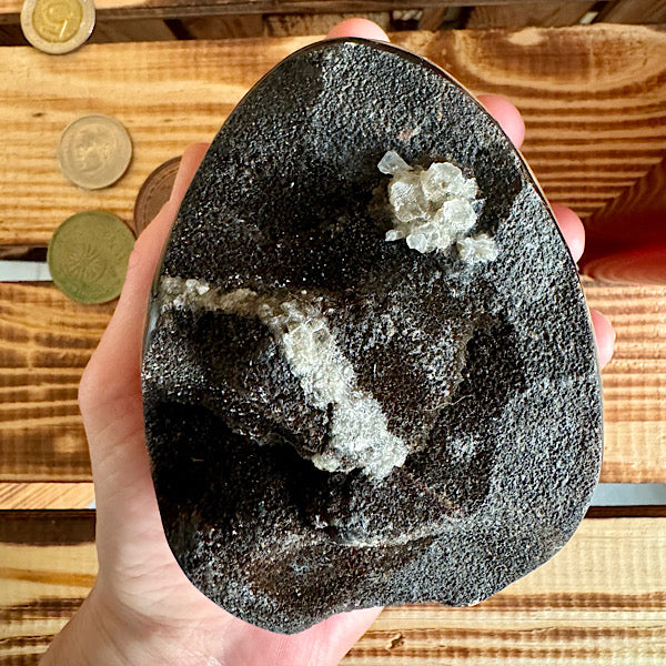 septarie septaria draken ei calciet kristalletjes