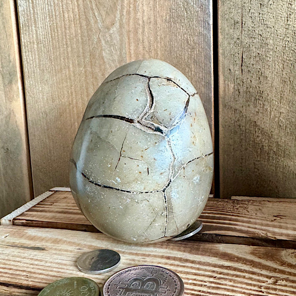 septarie septaria draken ei calciet kristalletjes