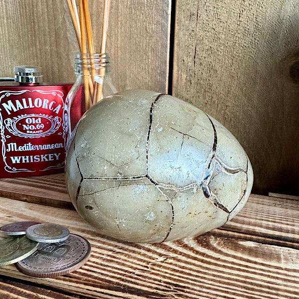 septarie septaria draken ei calciet kristalletjes