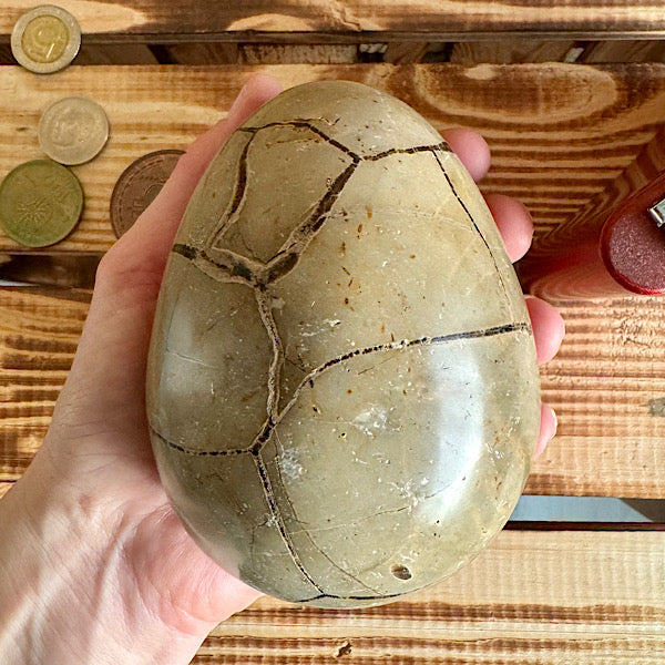 septarie septaria draken ei calciet kristalletjes