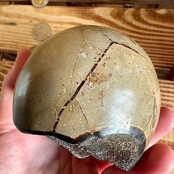 septarie septaria draken ei calciet kristalletjes