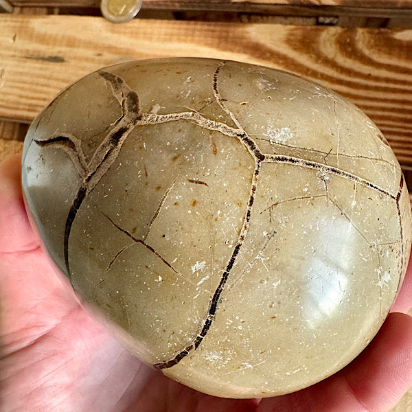 septarie septaria draken ei calciet kristalletjes