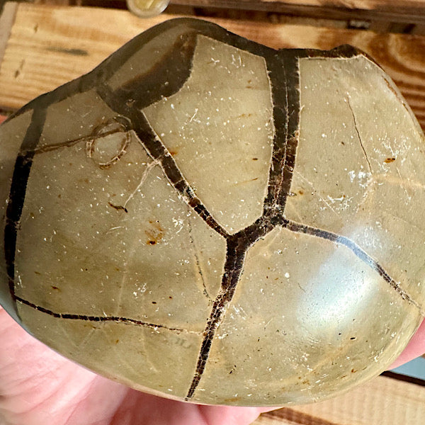 septarie septaria draken ei calciet kristalletjes