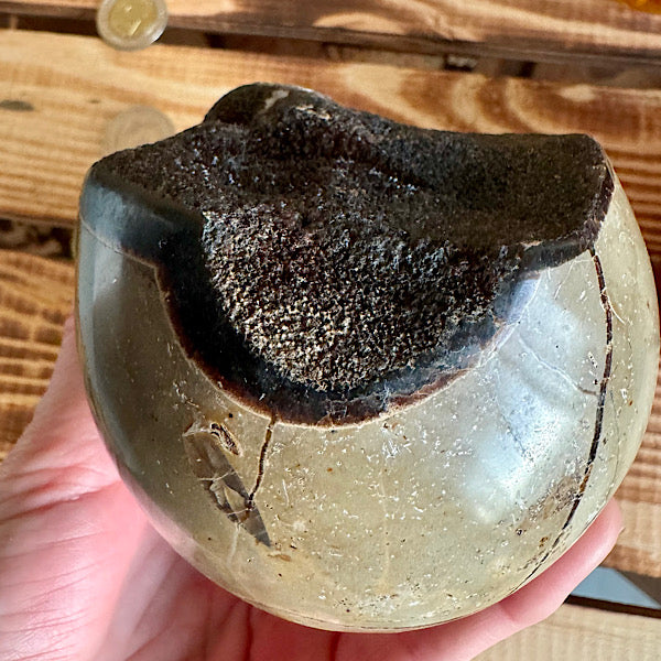 septarie septaria draken ei calciet kristalletjes