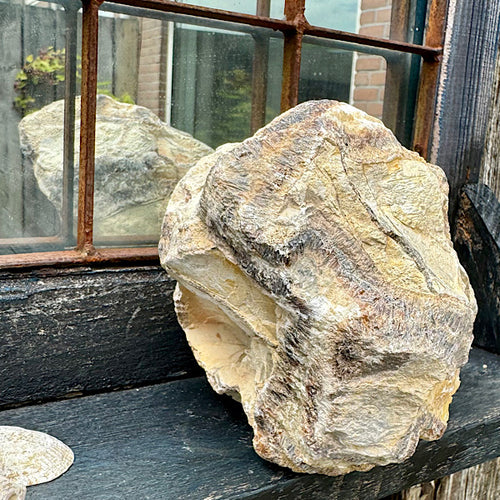 septarie septaria groot ruw brok nr6 edelstenenmineralenwinkel