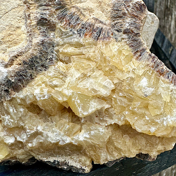 septarie septaria groot ruw brok nr6 edelstenenmineralenwinkel