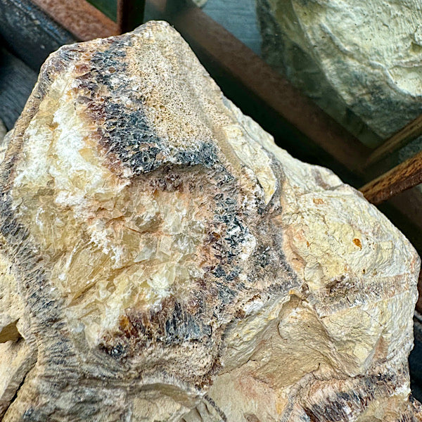 septarie septaria groot ruw brok nr6 edelstenenmineralenwinkel