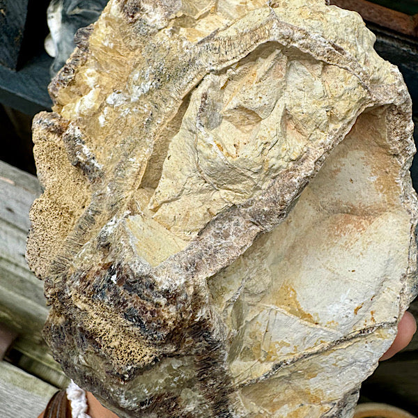 septarie septaria groot ruw brok nr6 edelstenenmineralenwinkel