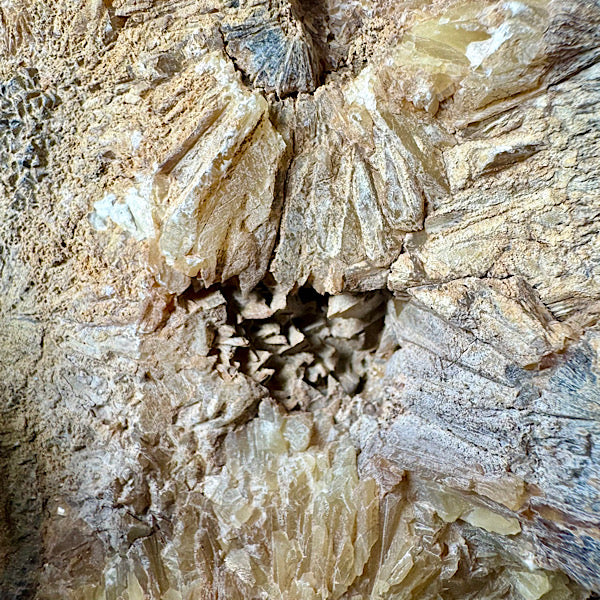 septarie septaria groot ruw brok nr8 edelstenenmineralenwinkel