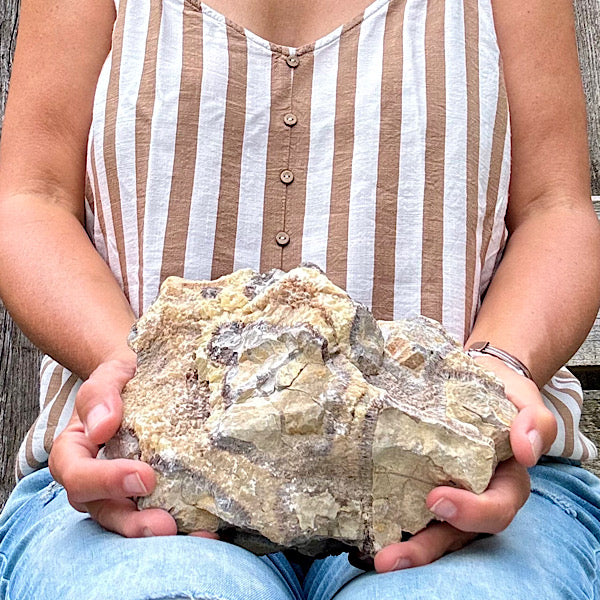 septarie septaria groot ruw brok nr8 edelstenenmineralenwinkel