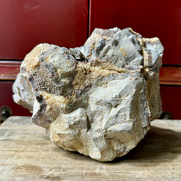 septarie septaria groot ruw brok nr8 edelstenenmineralenwinkel