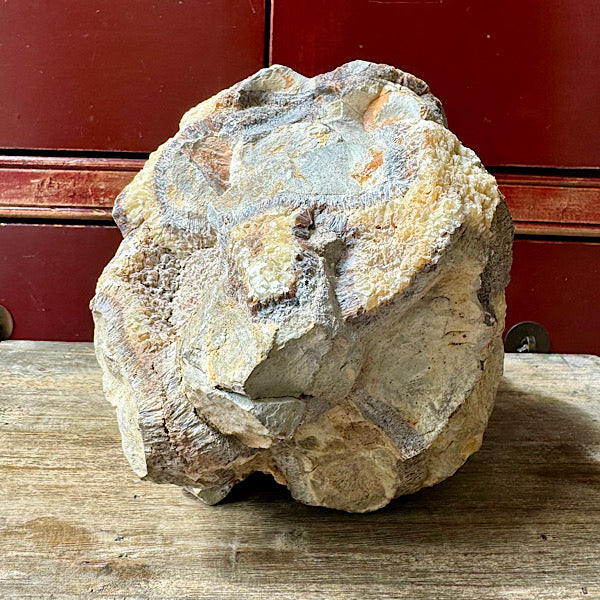 septarie septaria groot ruw brok nr8 edelstenenmineralenwinkel